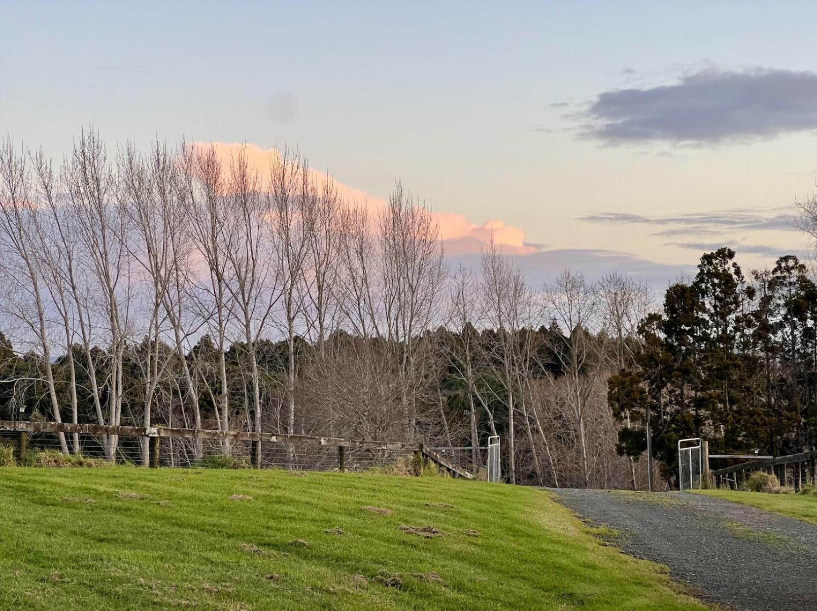 Ranfurly Holiday Home Auckland Exteriör bild
